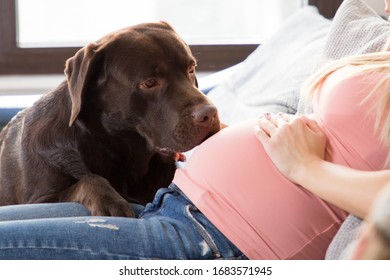 Mom Baby Petting Animals Images Stock Photos Vectors Shutterstock