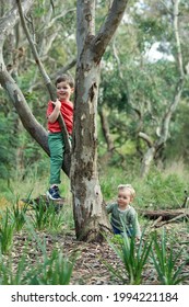 Happy Young Siblings Climbing Trees And  Playing Outdoors In Australian Gumtree And Bush. 3 Year Old Little Boy And 9 Month Old Baby Girl Brother And Sister Having Fun Outside Smiling In Nature.