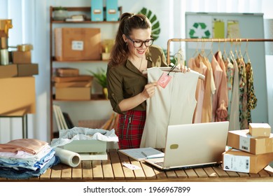 Happy Young Small Business Owner Woman In The Office Having Video Call On Laptop.