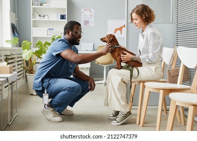 Happy young veterinarian cuddling cute brown dachshund patient sitting on knees of its owner before veterinary check-up - Shutterstock ID 2122747379