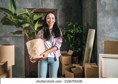 Happy Young Woman With Ficus Plant And Boxes Moving Into New House