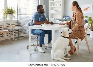 Happy Young Woman With Labrador Pet Sitting By Desk In Front Of African-American Male Veterinarian In Blue Uniform In Medical Office