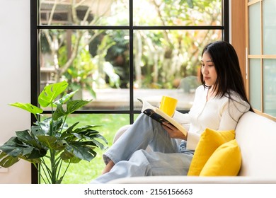 Happy young woman reading book on sofa at home.  Lifestyle freelance relax and chill drinking coffee in living room, Nature garden background.  Lifestyle Concept