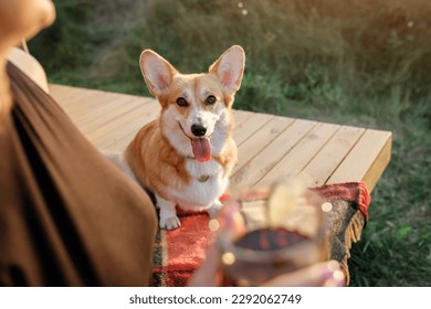 Happy young woman with Welsh Corgi Pembroke dog relaxing in glamping on summer day. Luxury camping tent for outdoor recreation and recreation. Lifestyle concept - Powered by Shutterstock