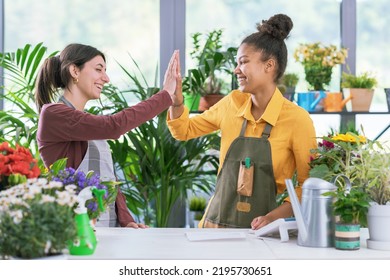 Happy young woman working together in a flower shop, they are giving a high five - Powered by Shutterstock