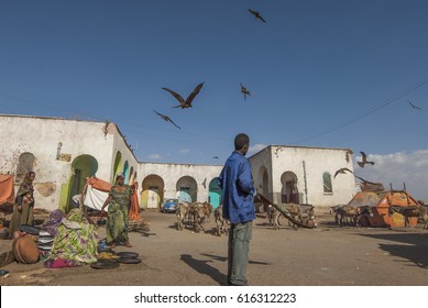 HARAR, ETHIOPIA - MARCH 28: Unidentified Ethiopian man watches vultures at meat market in Harar, Ethiopia, March 28, 2012. Unsanitary conditions in market are perfectly suited to a colony of vultures.