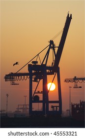 Harbor Crane
