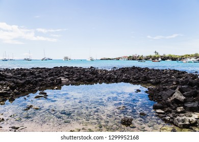 The Harbor At Santa Cruz Island Galapagos Ecuador
