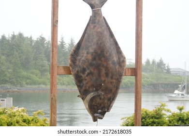 The Harbor In Sitka Alaska And It's Commercial Fishing Industry On A Foggy Summer Day.