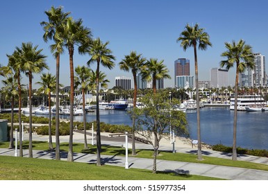 Harbour And Marina In Long Beach With Palm Trees, California At Sunrise