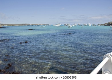 Harbour At Puerto Ayora