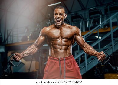 Hard Core Bodybuilding. Handsome Bodybuilder Workout At The Gym