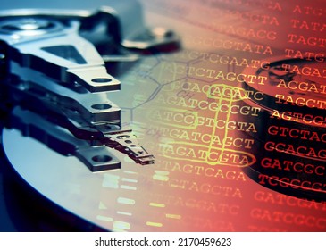 Hard disk drive and DNA data. Science concept. - Powered by Shutterstock - Get 15% off with code: PIKWIZARD15
