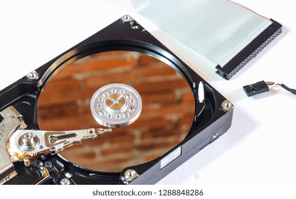 Hard disk drive inside. Data safety concept.