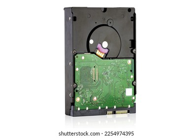 Hard disk isolated on white background with clipping path. Computer HDD Hard Disk Drive. Computer Storage Memory.