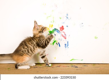 Cat Paint Images Stock Photos Vectors Shutterstock