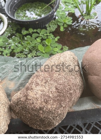 As hard as a rock, it will eventually get holes. 