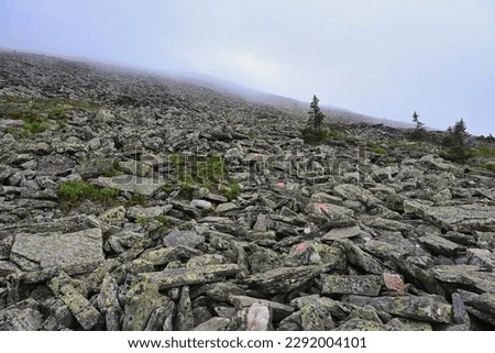 Hard rocks on the slope of Big Iremel mountain, Bashkortostan