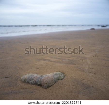 Hard shape stone on the beach