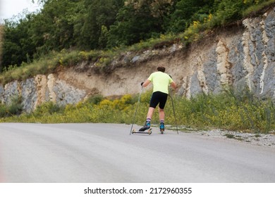 Hard training an athlete on the roller ski, back view. Biathlon ride on the roller skis with ski poles, in the helmet. Summer workout.