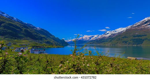 Hardangerfjord In Norway