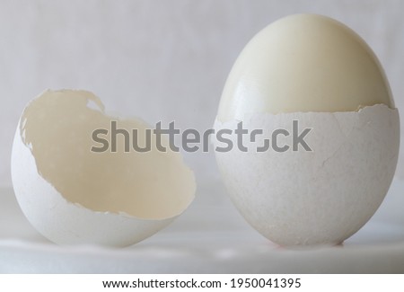 Hardboiled Egg with Shell on White Background