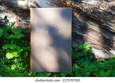 Hardcover book on a natural background. Book on grass in sunlight.