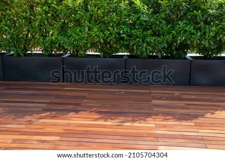 Hardwood timber decking and Evergreen Laurel Hedging in pots