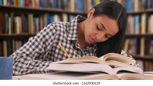 Hardworking Latina Student Studies For A Class In Her School Library