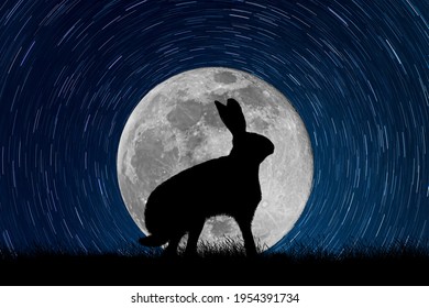 Hare or rabbit silhouette in the moonlit starry sky