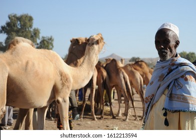 HARGEISA, SOMALIA - JANUARY 8, 2010:Unknown Man In The Cattle Market In Hargeisa. A City In Somalia, The Unrecognized State Of Somaliland, The Second Largest City In Somalia After Mogadishu