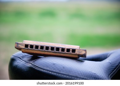 Harmonica on bicycle seat on background of green grass.Music for road