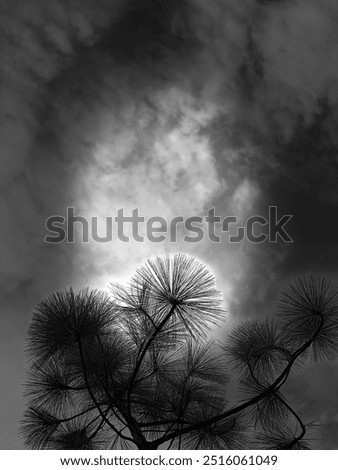 Similar – bottrop Nature Landscape