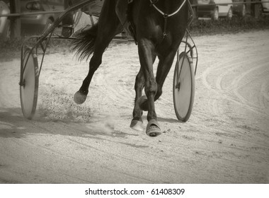 Harness Racing