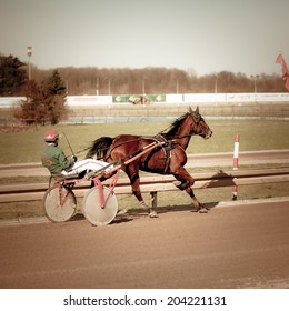 Harness Racing .horse