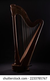 Harp isolated in low light - strings instrument in studio - artistic harp in studio            
