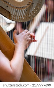 Harp On Symphony Orchestra Stage, Detail Of Hands With Strings