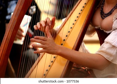 Harpist Entertaining