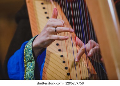 Harpist Hands And Harp Close-up