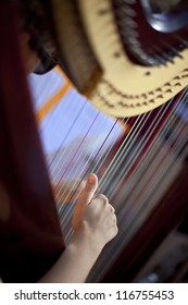 Harpist And Instrument