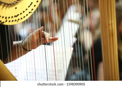 Harpist Playing Harp - Close Up