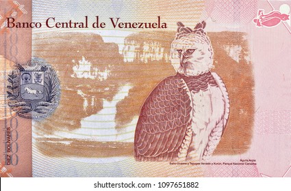 Harpy Eagle, Aguila Arpia (Harpia Harpyja). Portrait From Venezuela 10 Bolivares 2007 Banknotes.