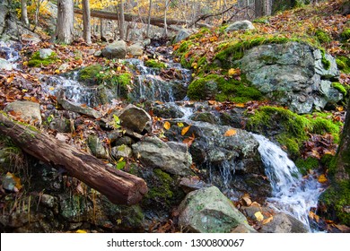 Harriman State Park