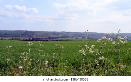 Harringworth Viaduct From A Far 