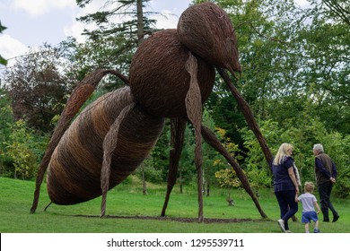 Harrogate, North Yorkshire, UK.8.31.2017.People walking next to a giant willow sculpture of a Bee at RHS Garden, Harlow Carr.