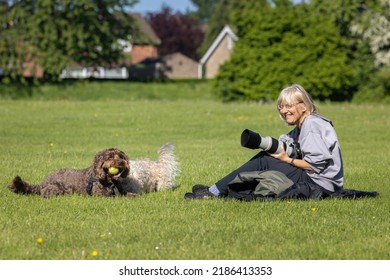 Harrogate, UK 14 May 2022 : Blonde Woman Dog Photographer Sitting Down On The Grass With Camera In Hand Smiling And Looking At Brown Cockapoo With Tennis Ball In His Mouth At A Public Park