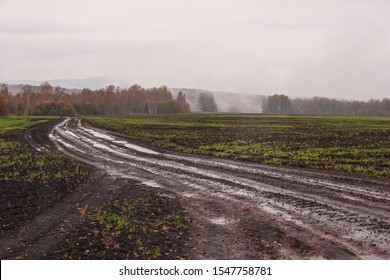 The harsh landscape nature and road through the fields for the off-road SUV with puddles and mud. Autumn or spring background. Forest in the fog in the background. Fallen leaves, slush, mud.