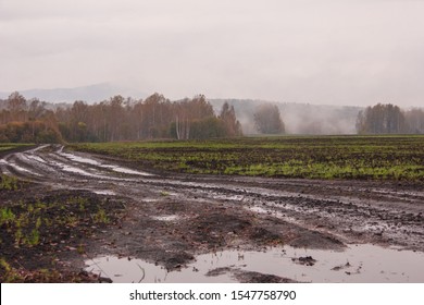 The harsh landscape nature and road through the fields for the off-road SUV with puddles and mud. Autumn or spring background. Forest in the fog in the background. Fallen leaves, slush, mud. - Powered by Shutterstock
