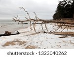 harsh north spring