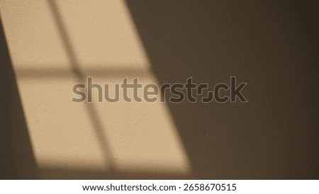 Harsh shadows from a window frame fall across a light brown wall, creating an abstract and moody background